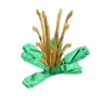 Baby Cactus