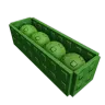 Green Bean