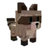 Raccoon